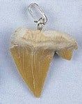 Assorted Shark Tooth Pendants with Silver Hooks | The Pink Bead Shop Canada