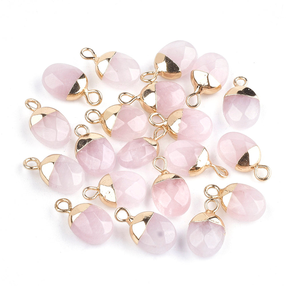 Electroplate Natural Gemstone Charms, with Iron Findings, Faceted, Oval, Golden, Asst Stones2 Pack