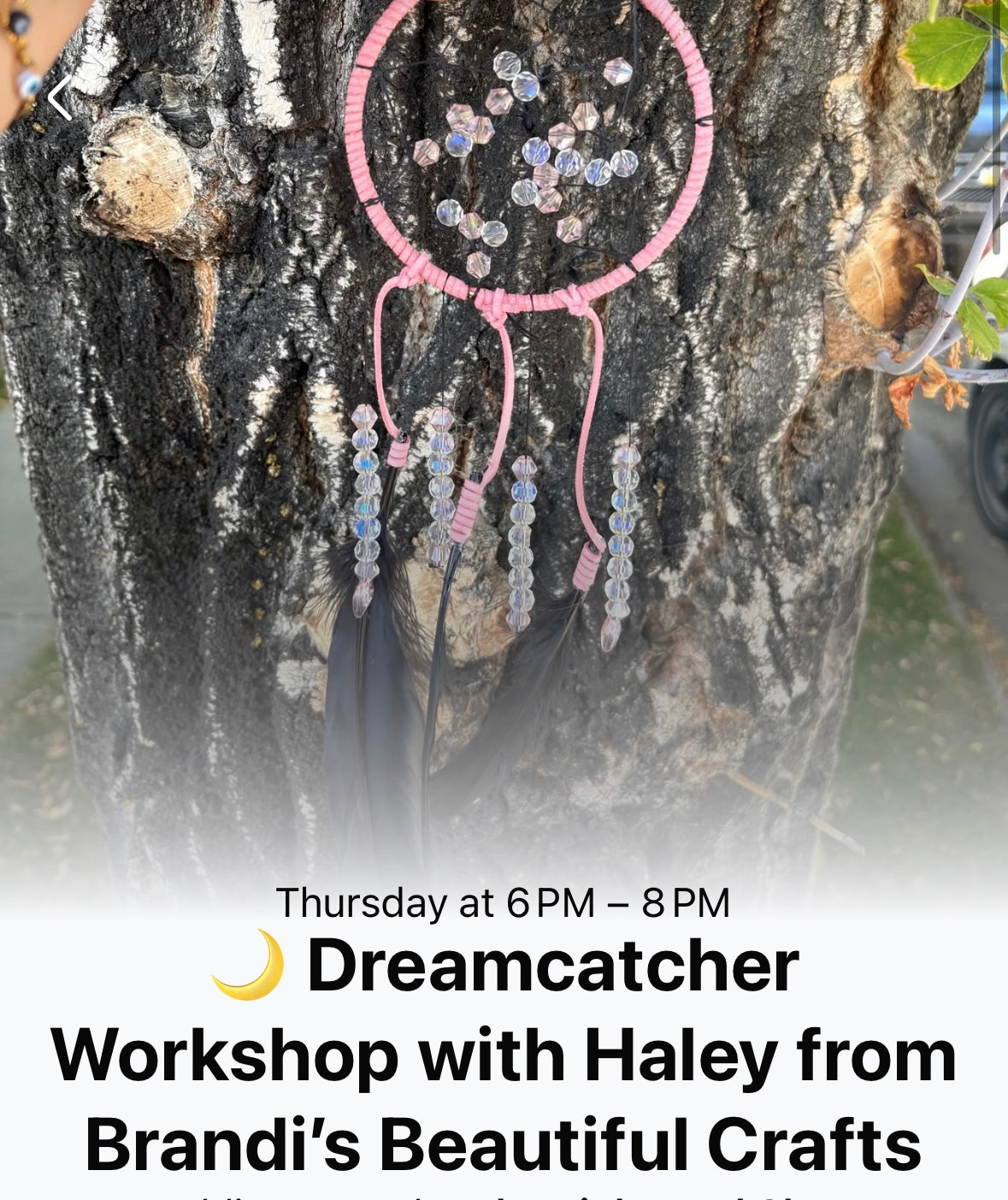 Dreamcatcher Workshop with Haley