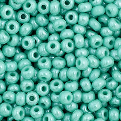 Czech Seed Bead 11/0 23 Grams