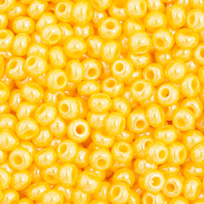 Czech Seed Bead 11/0 23 Grams