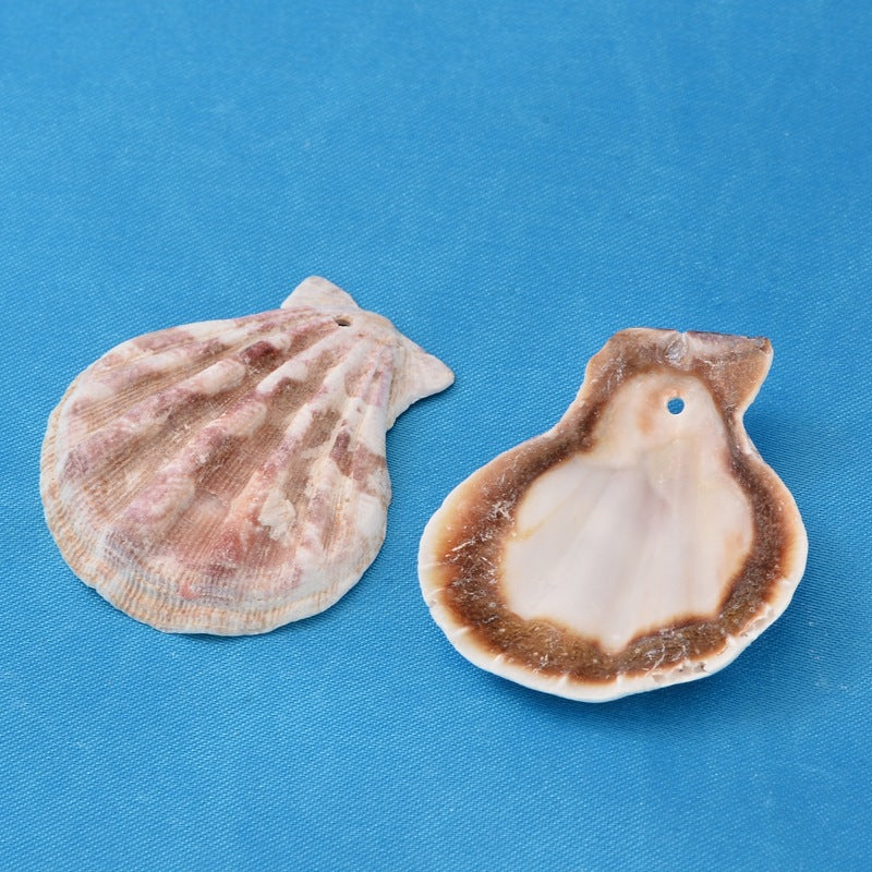 Sea Shell Pendant Beads Bulk
