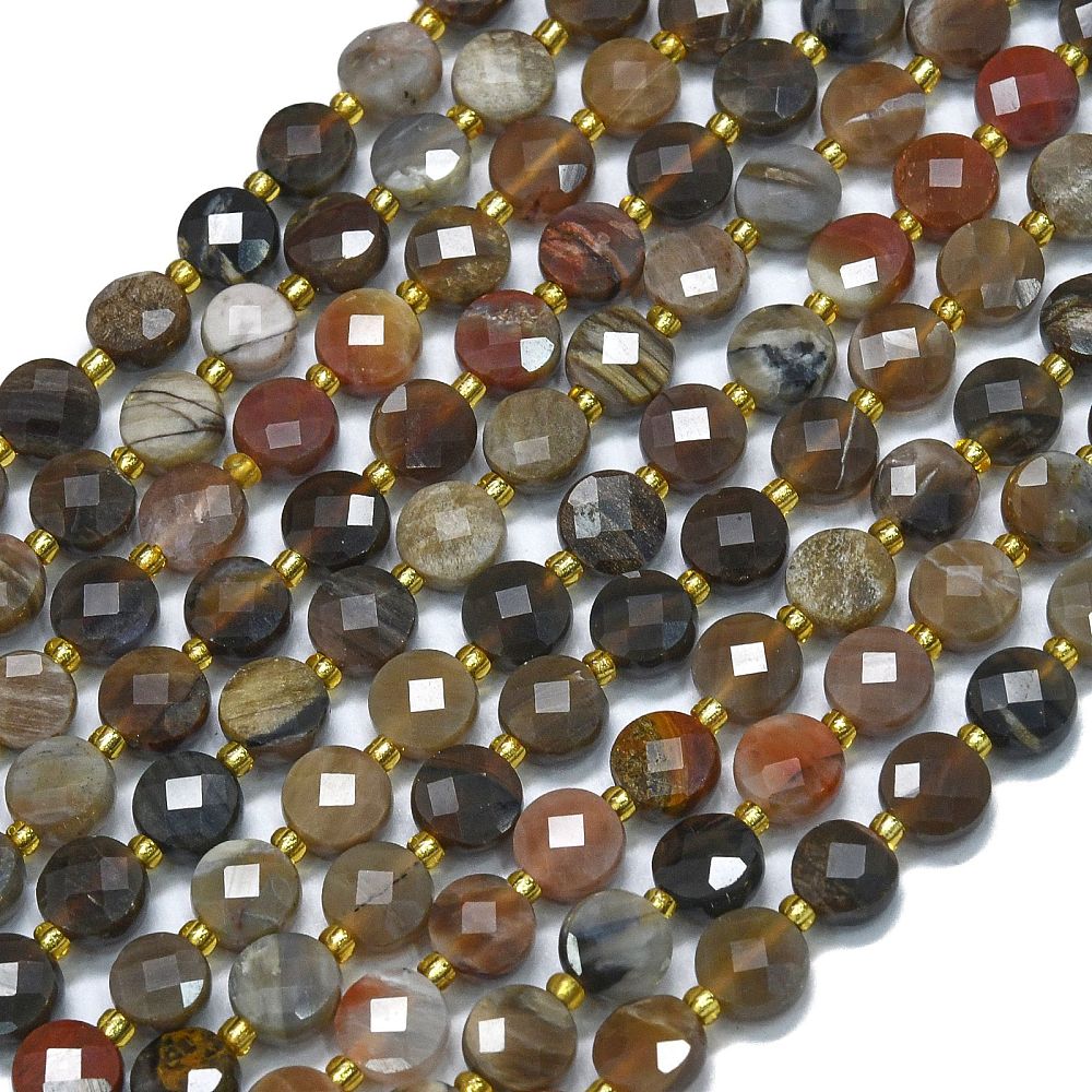 Petrified Wood 6mm Faceted Coin Beads for Jewelry Making | The Pink Bead Shop Canada