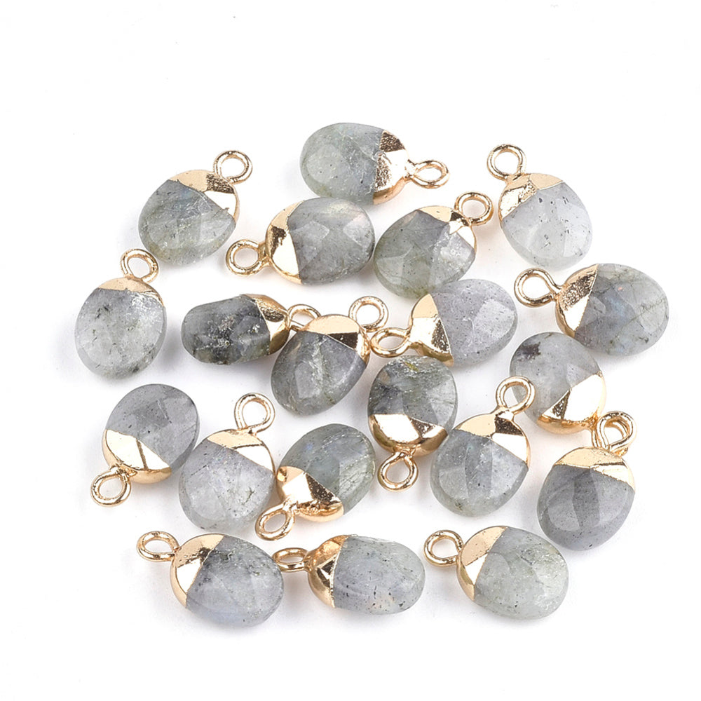 Electroplate Natural Gemstone Charms, with Iron Findings, Faceted, Oval, Golden, Asst Stones2 Pack