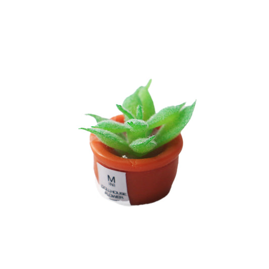 Resin Succulents Pot Model, Moss Micro Landscape Fairy Garden