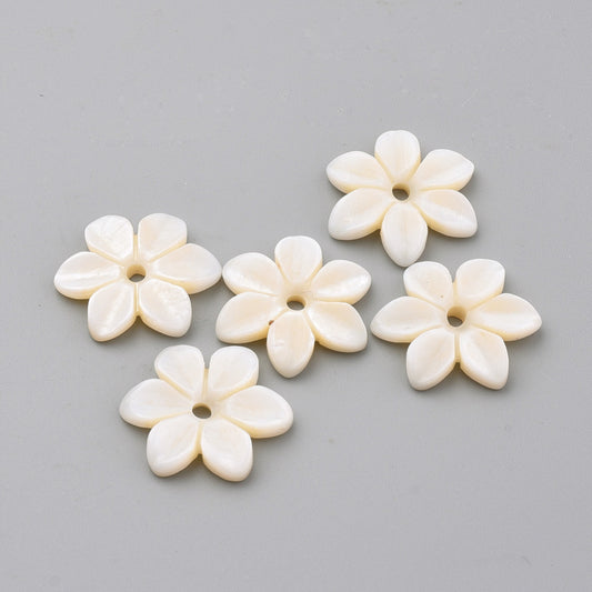 Natural Freshwater Shell Beads, Flower, Floral White 5 Pack