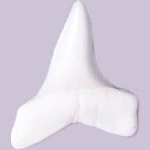 Maro Shark Teeth 1/2” White Bone 5pc | The Pink Bead Shop Canada