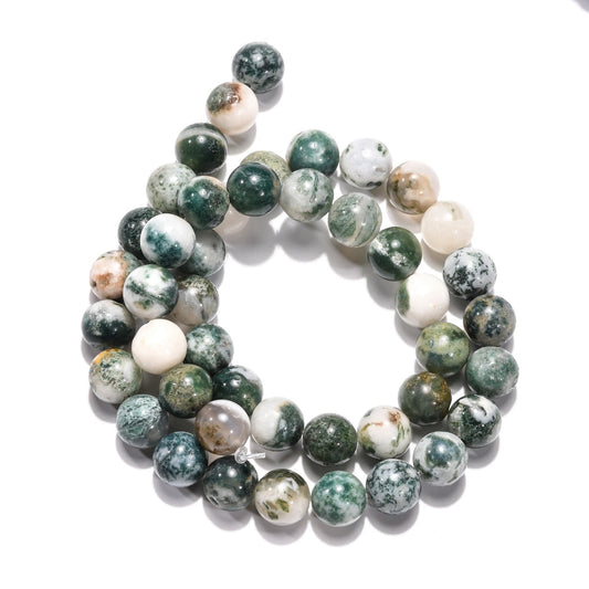 Green Tree Agate Asst Sizes