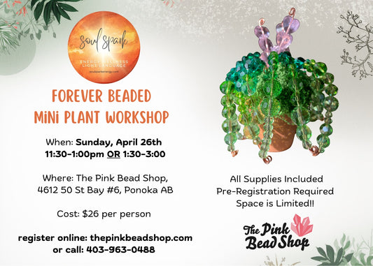 Forever Beaded Mini Plant with Andrea Sunday April 26 11:30-1