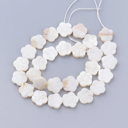 Natural Freshwater Shell Bead Strands, Flower, Creamy White Size: about 12~13mm long