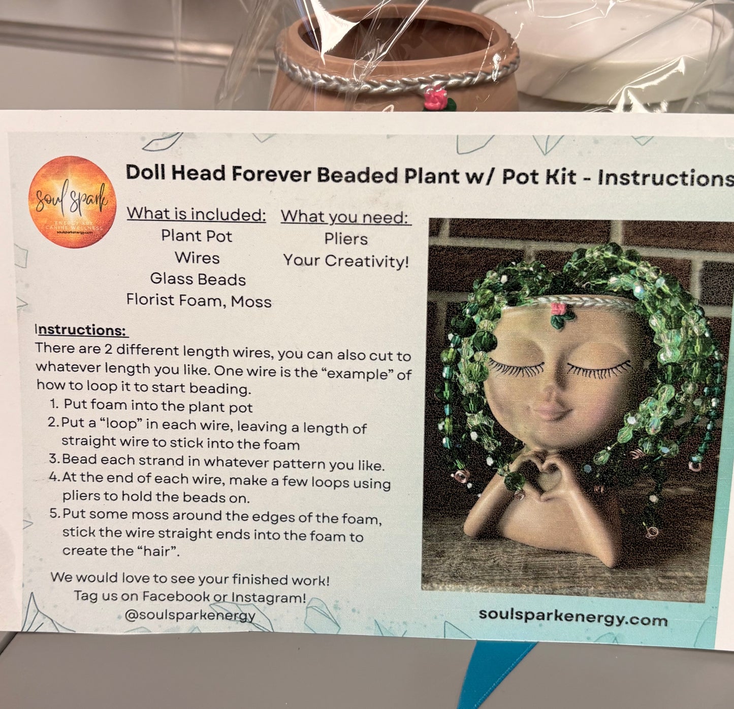 Doll Head Forever Beaded Plant DIY Kit w/ Pot | The Pink Bead Shop Canada