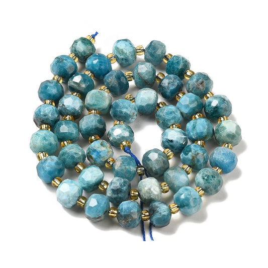 Apatite Faceted Rondelle Beads 7–8mm | The Pink Bead Shop Canada